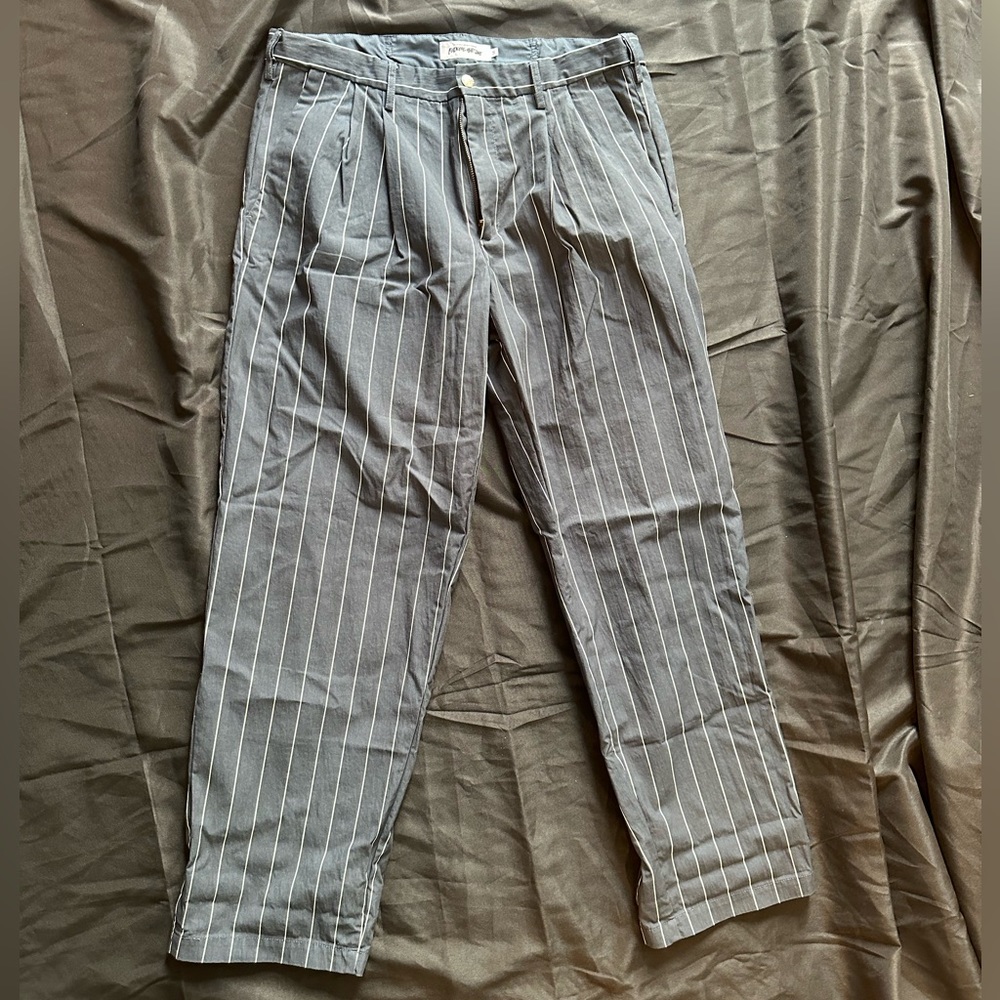 FA Fucking Awesome Striped Pleated Chino Pant